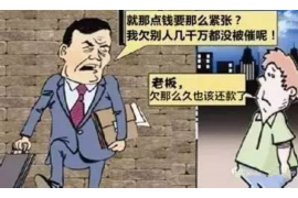 保亭企业清欠服务